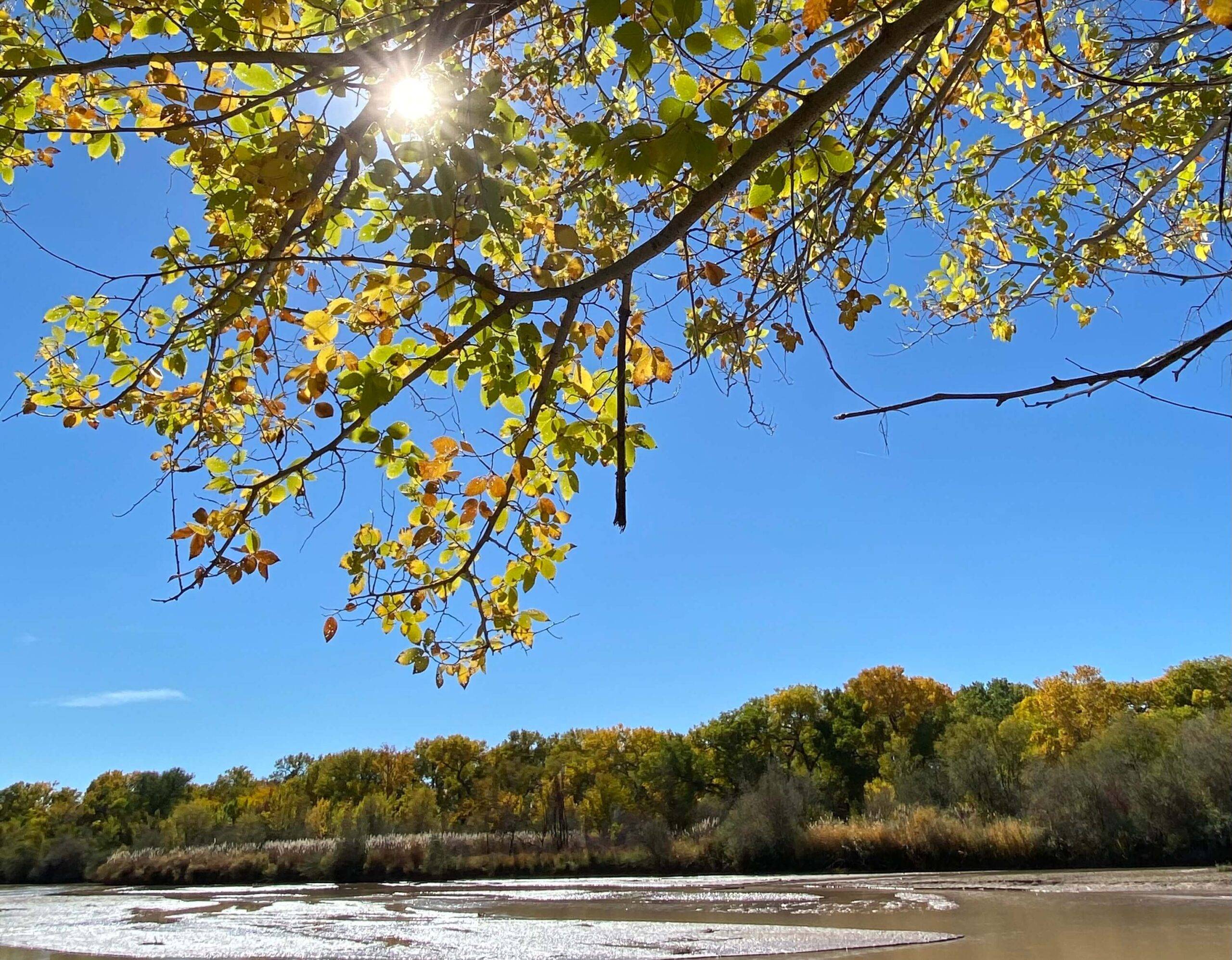 Bosque and rio grande pictured by Tingley beach access in Albuquerque, NM. Albuquerque hidden gems
