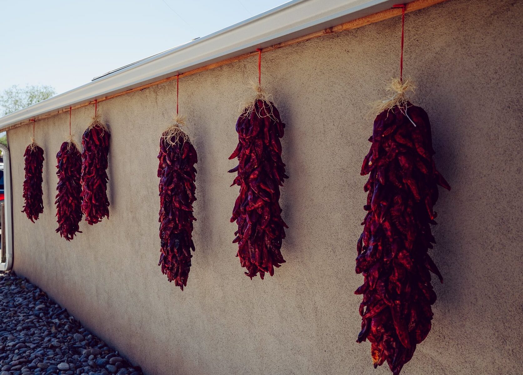 Chile ristras hung on a building in Corrales, NM. Living in Corrales NM