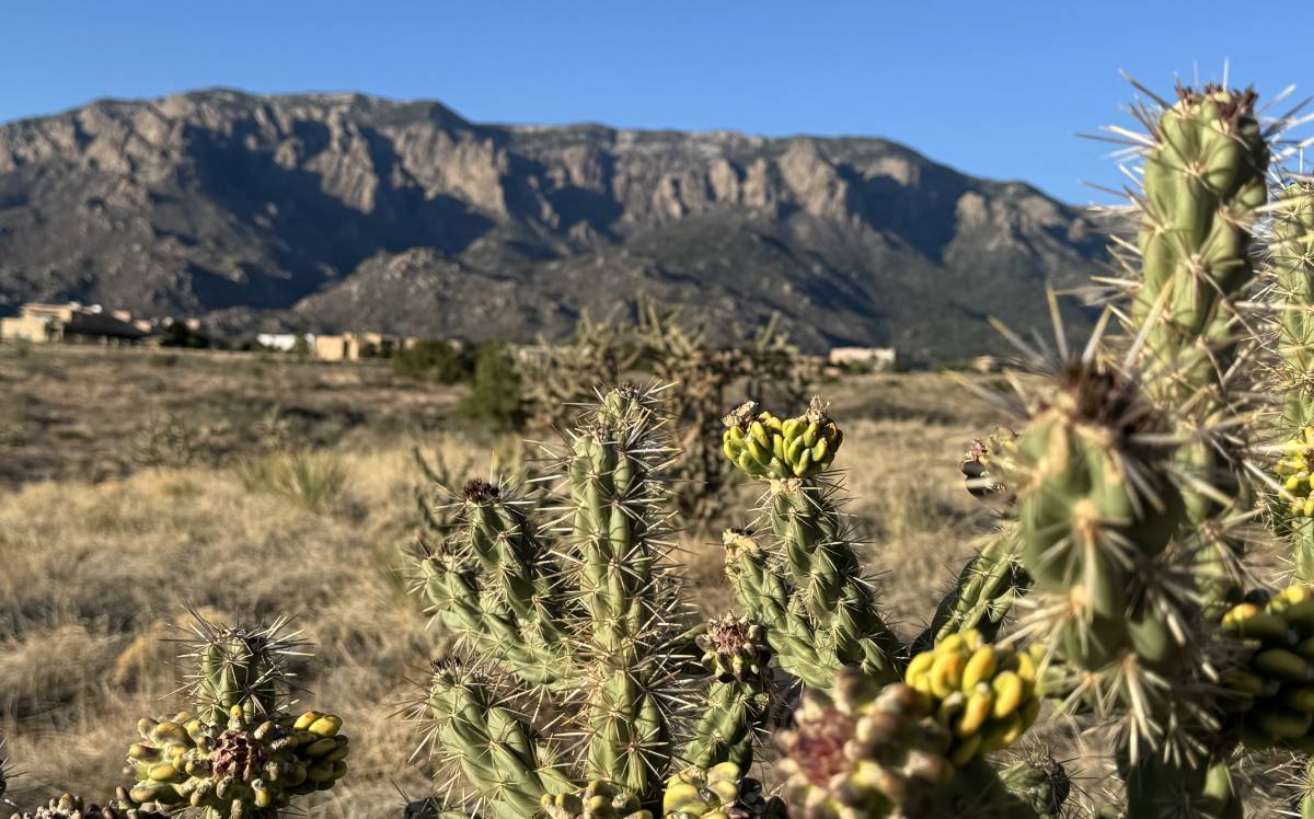 Foothills in Albuquerque, NM. NE Heights Albuquerque Homes 